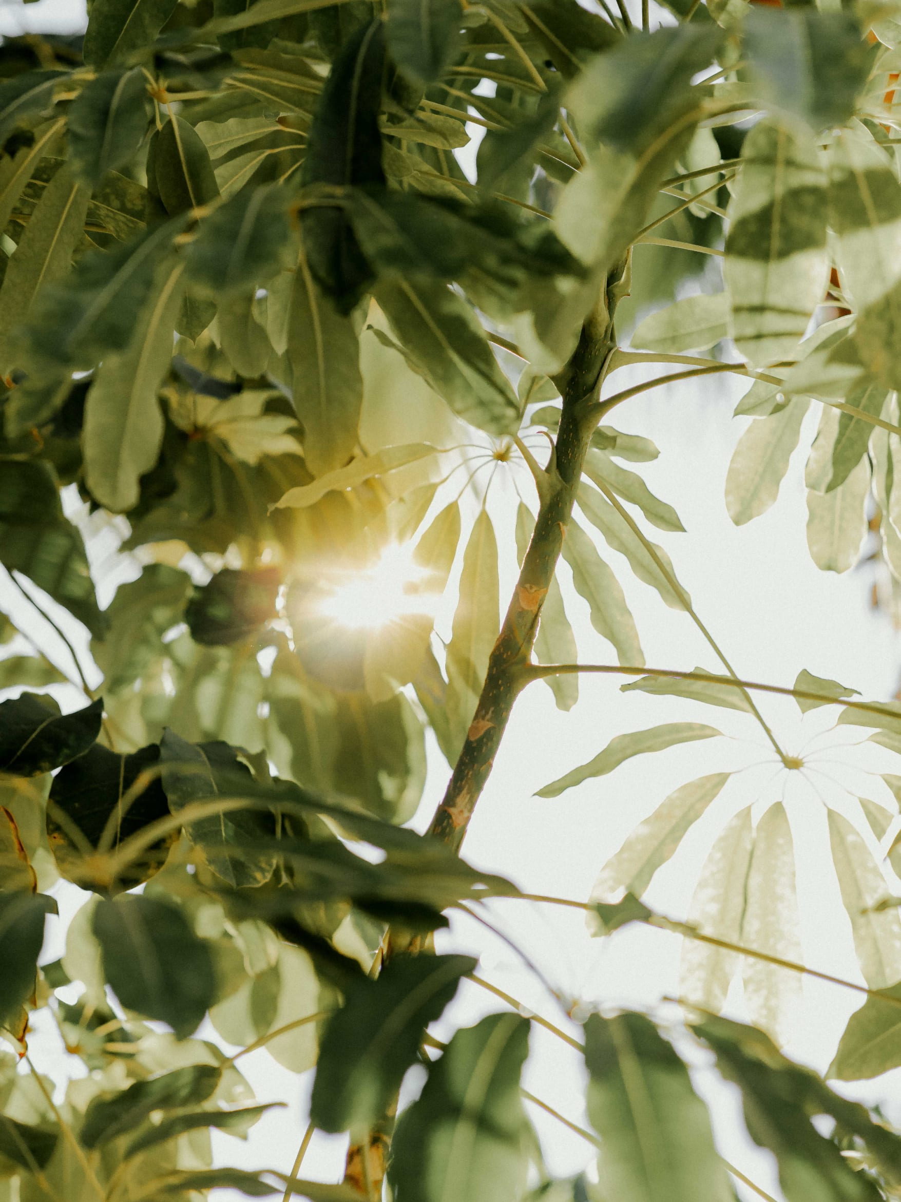 New on garden furniture