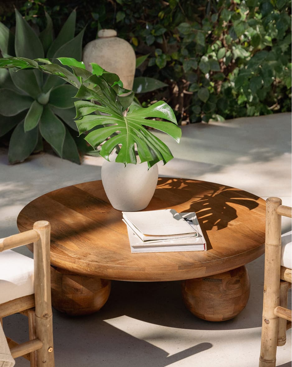 Mango Wood Coffee Table Cotia 