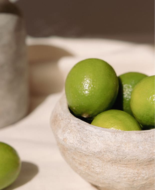 Bol décoratif en terre cuite Agnon