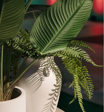 Jarrón en cerámica con asas ↑37 cm Garazi