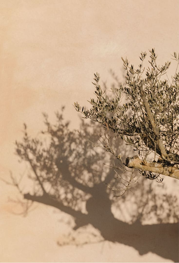 ( 02 )

Medioambiente