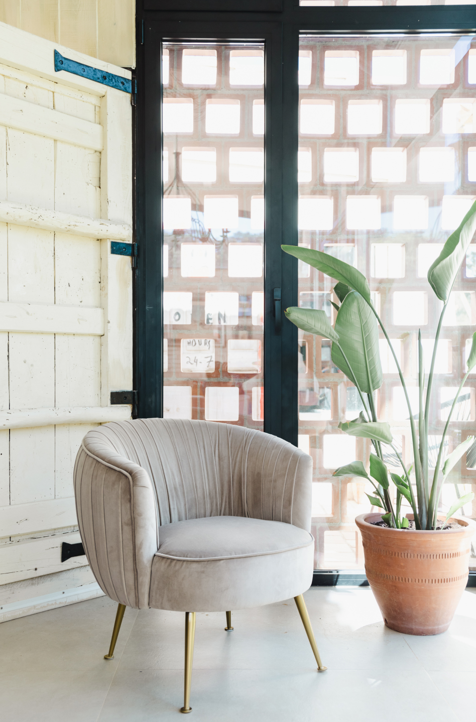 Fotel z Aksamitu Alima