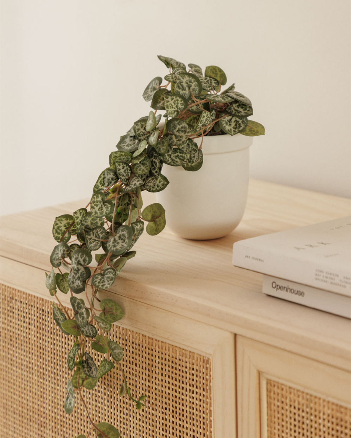 Collana decorativa a forma di cuore con pianta artificiale sospesa