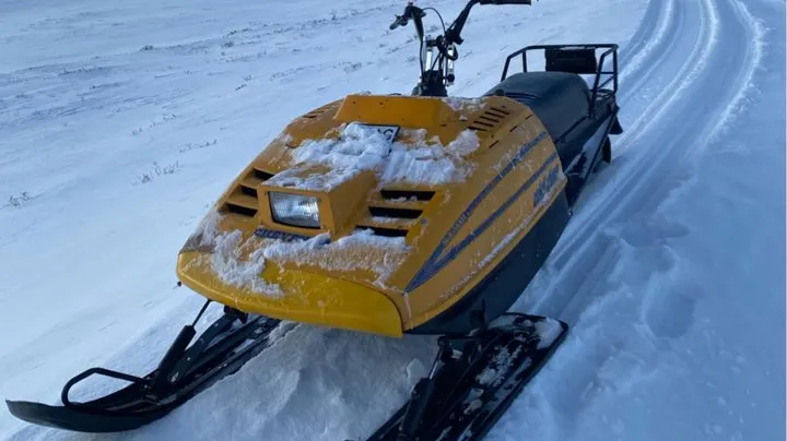 1989 Ski-Doo Safari Scout
