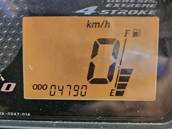 Yamaha RS RS Viking Professional 2010