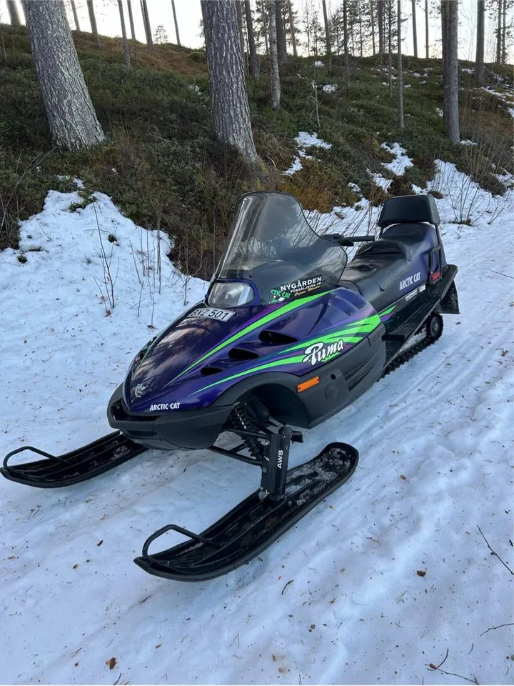 Arctic Cat Puma Puma Deluxe 1997