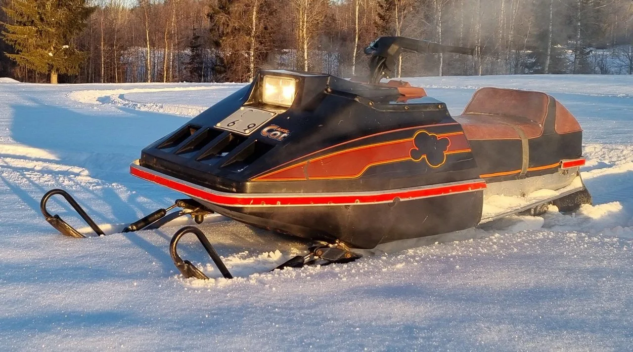 Arctic Cat Pantera Pantera 1980