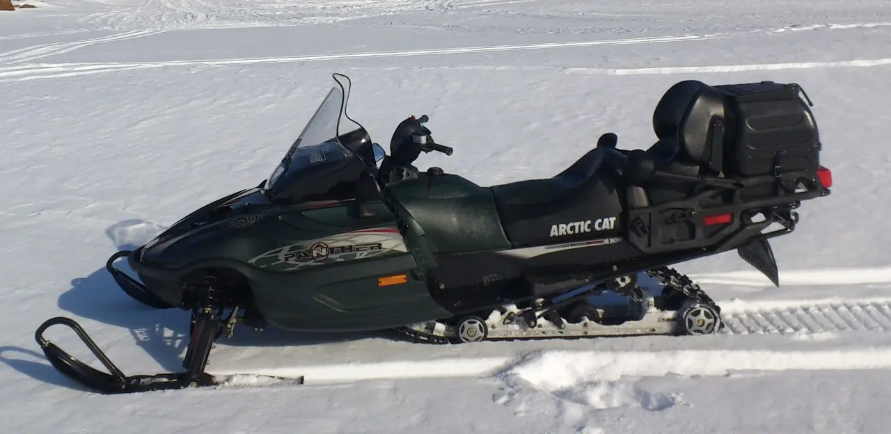 Arctic Cat Pantera Pantera 800 EFI ESR 2001