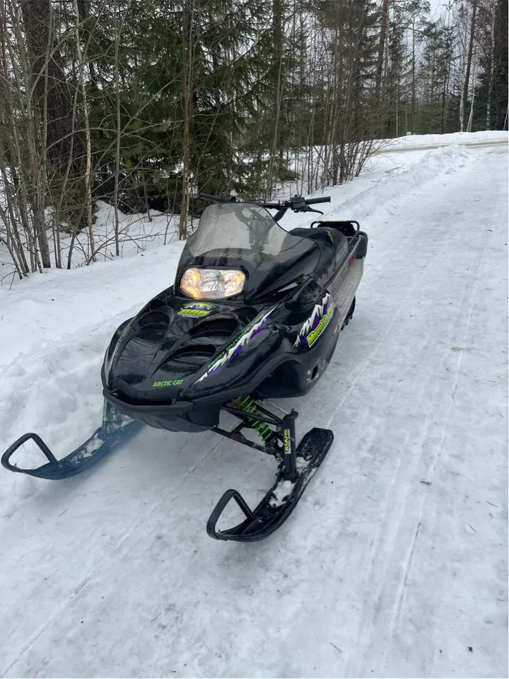 Arctic Cat Mountain Cat Mountain Cat 800 2001
