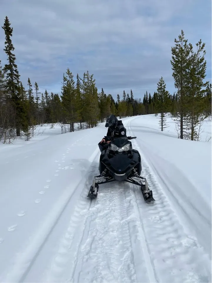 Polaris IQ IQ Turbo LX 2010