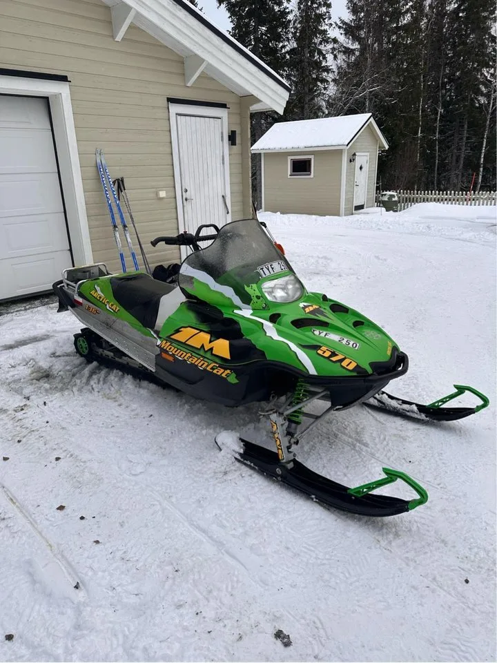 Arctic Cat Mountain Cat Mountain Cat 800 EFI 2004