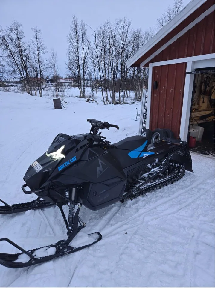 Arctic Cat Mountain Cat M 600 Alpha One 146 2024