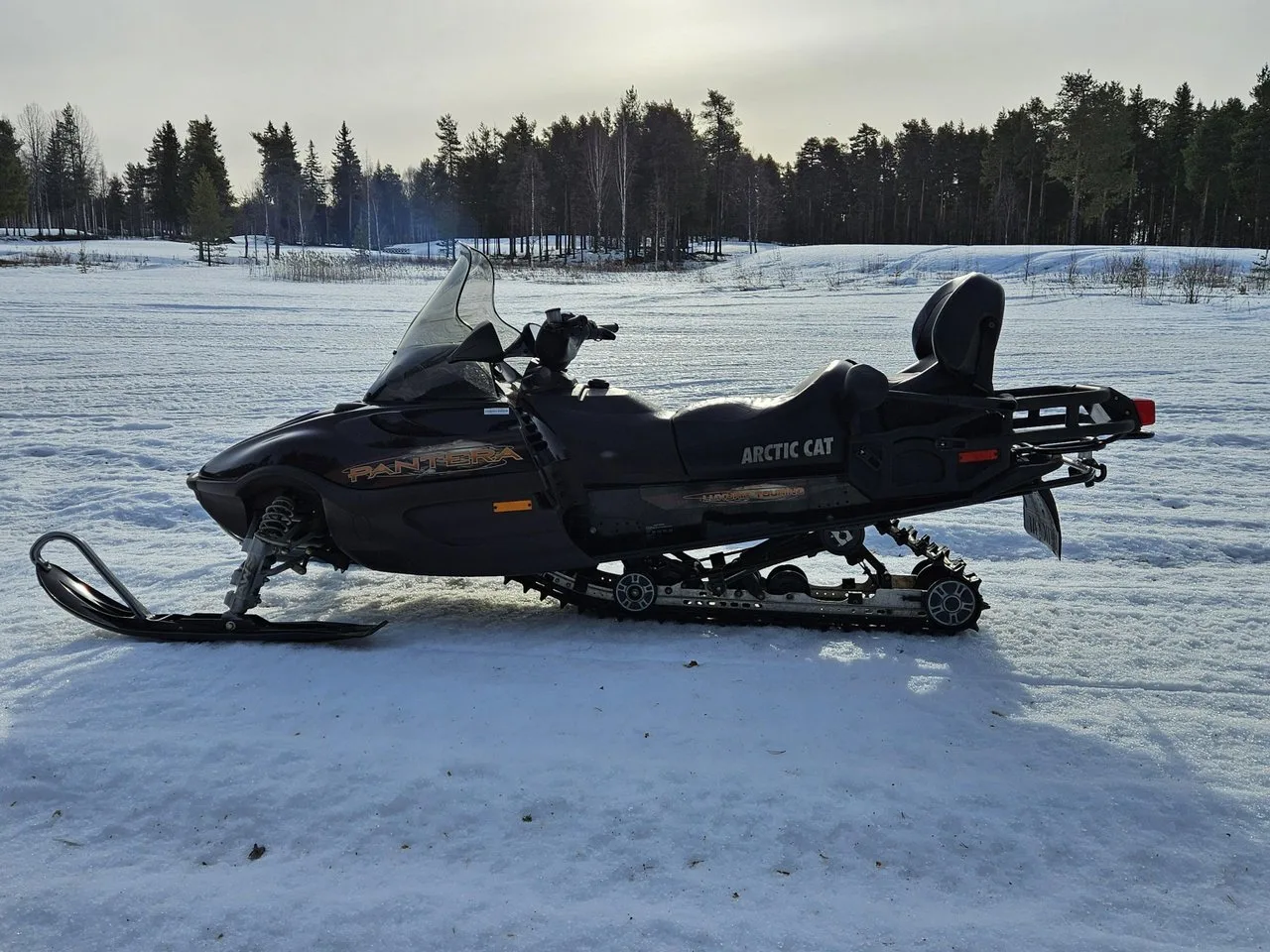 Arctic Cat Pantera Pantera 800 EFI ESR 2003