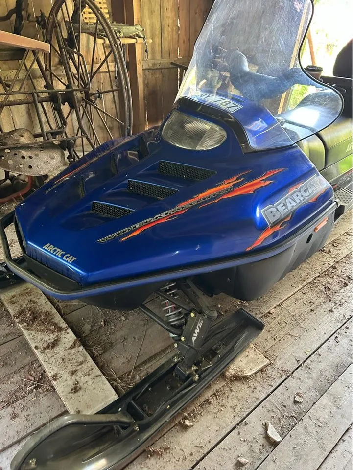 Arctic Cat Mountain Cat Mountain Cat 500 EFI 2002