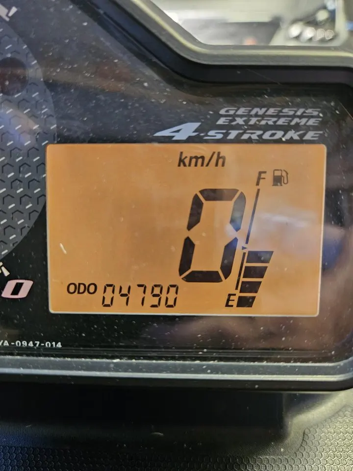 yamaha rs RS Viking Professional