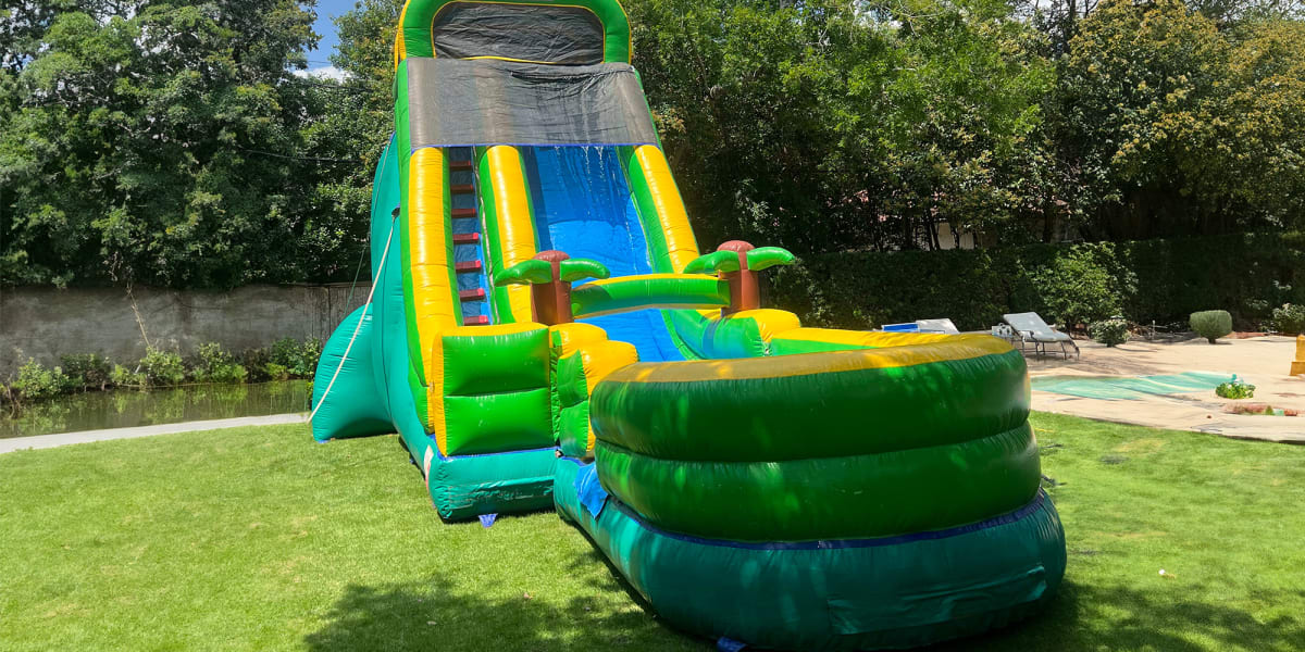 20ft Palm Tree Screamer Water Slide Rental Houston, TX | Sky High