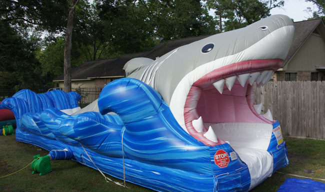 Giant inflatable shark water slide top