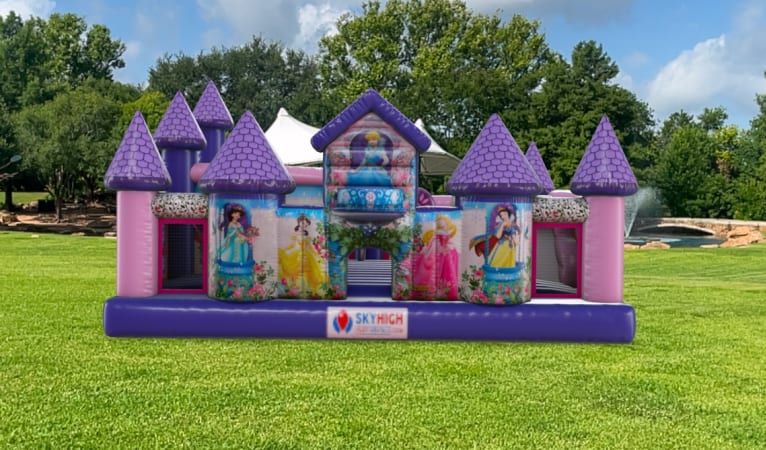 Disney Princess Toddler Inflatable Bounce House Houston, TX Sky