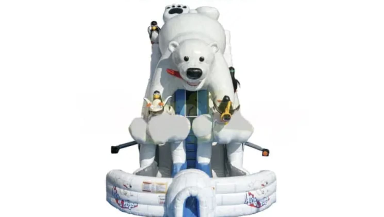 Austin Polar Bear XL Slide Rental