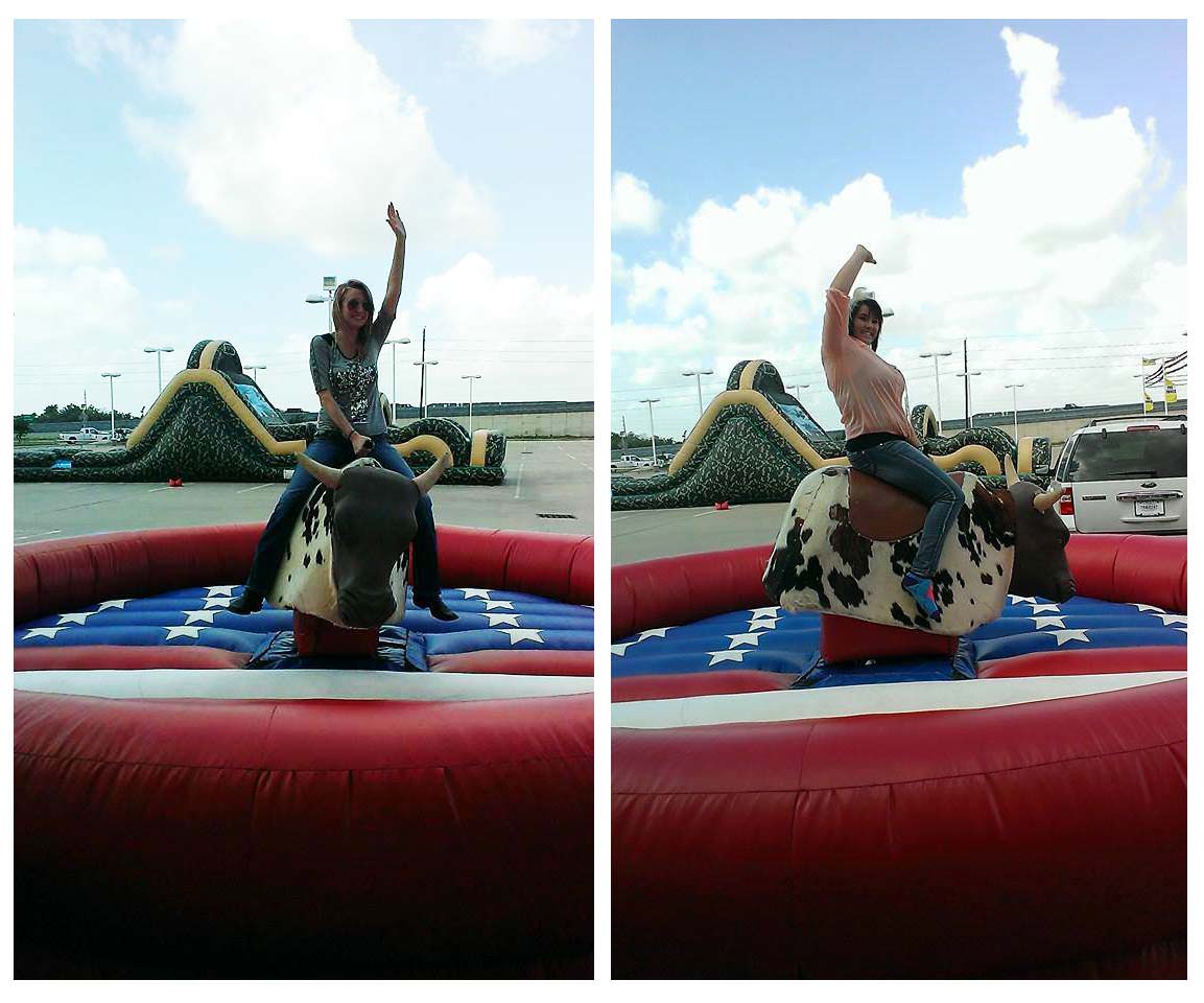 Inflatable Bull Rental Maryland