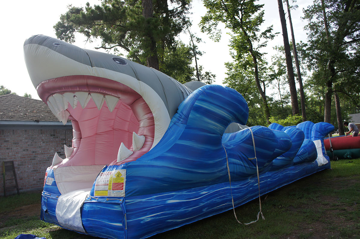 slip and slide shark