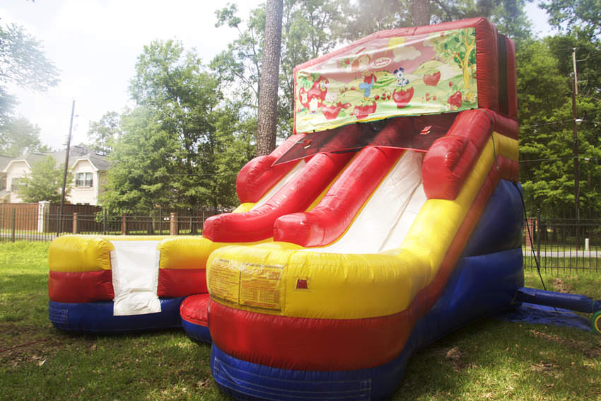 Strawberry slides sales
