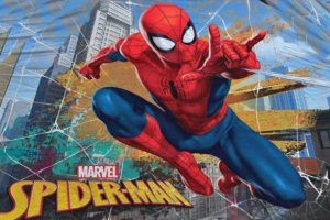 Spider Man Parties