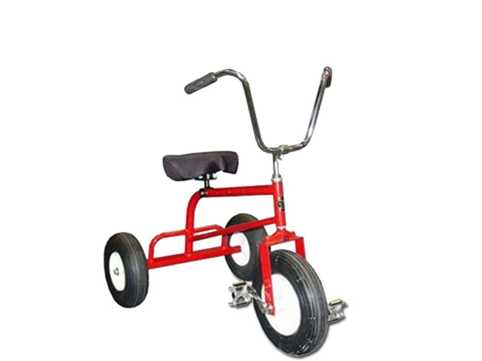 Adult Tricycle Rental