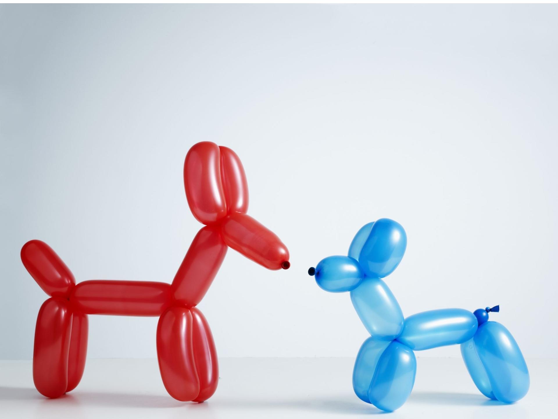 Balloon Artists