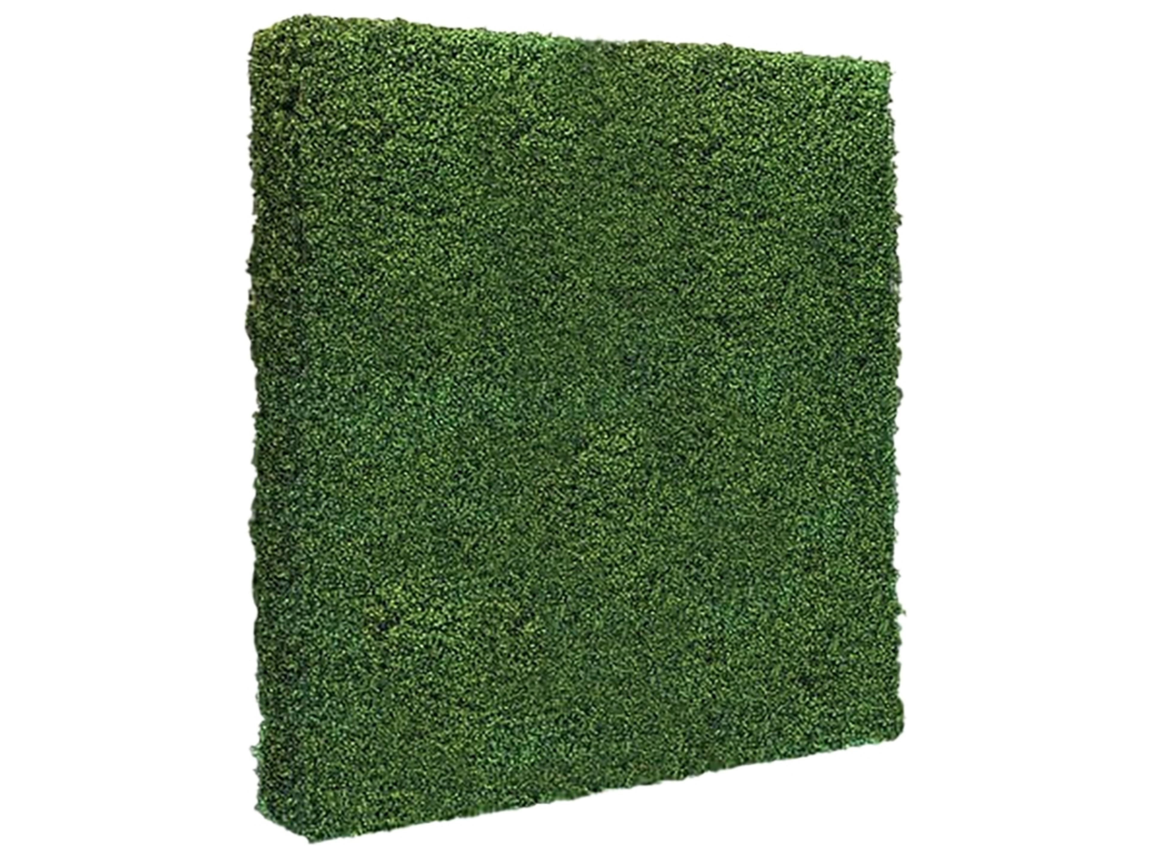 7' x 7' Boxwood Backdrop 