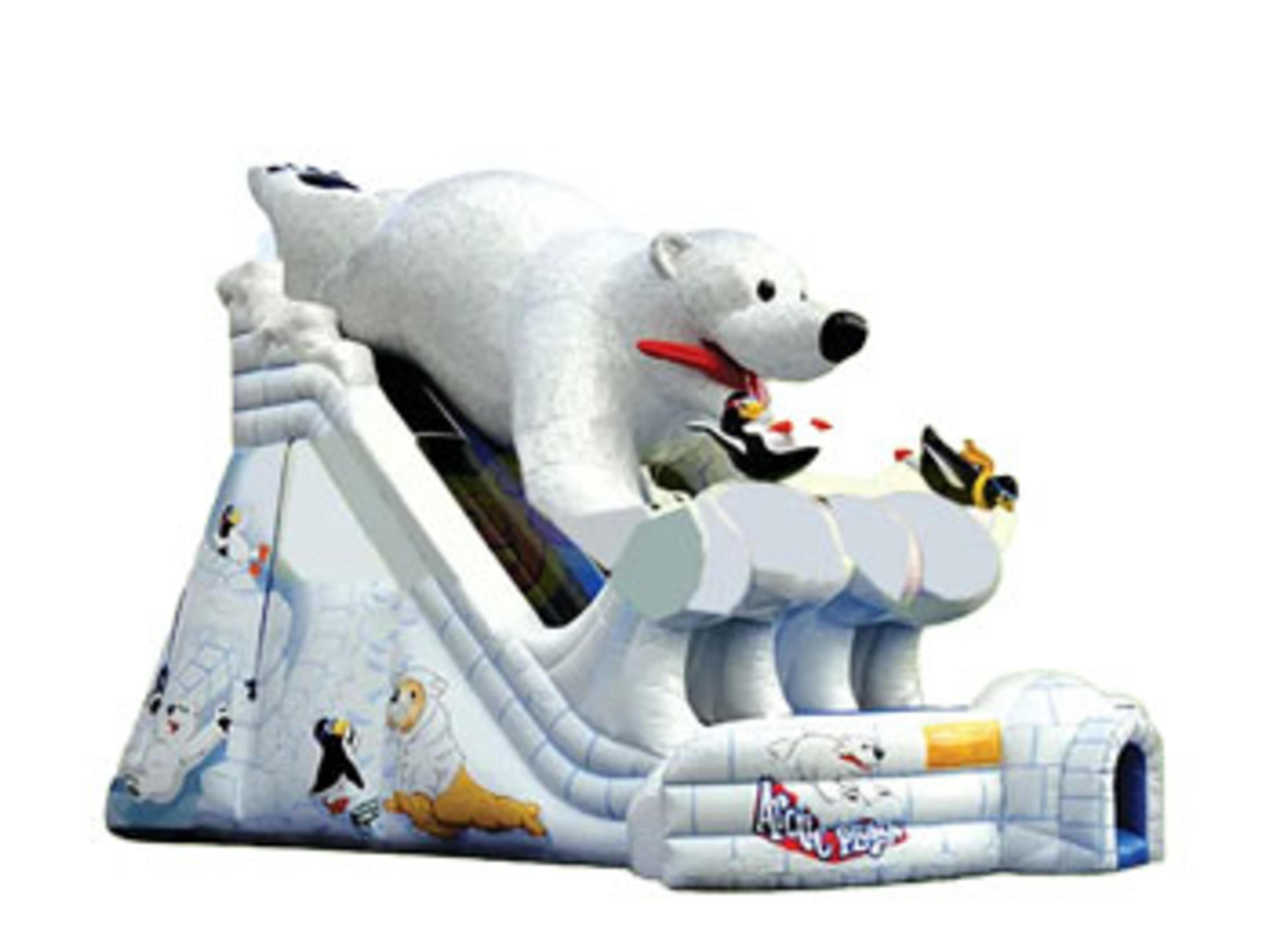 Polar Bear Arctic Plunge Dual Lane Slide