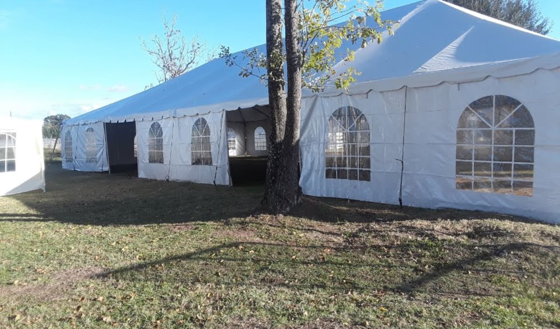 canopy rentals