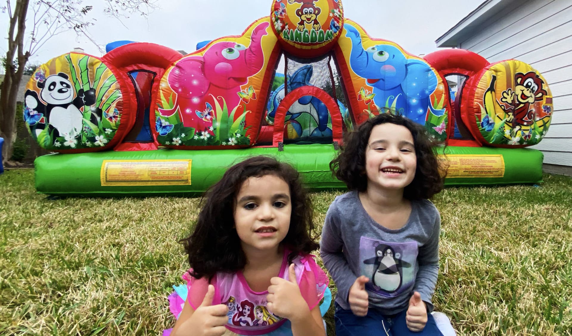 Animal Party Rentals