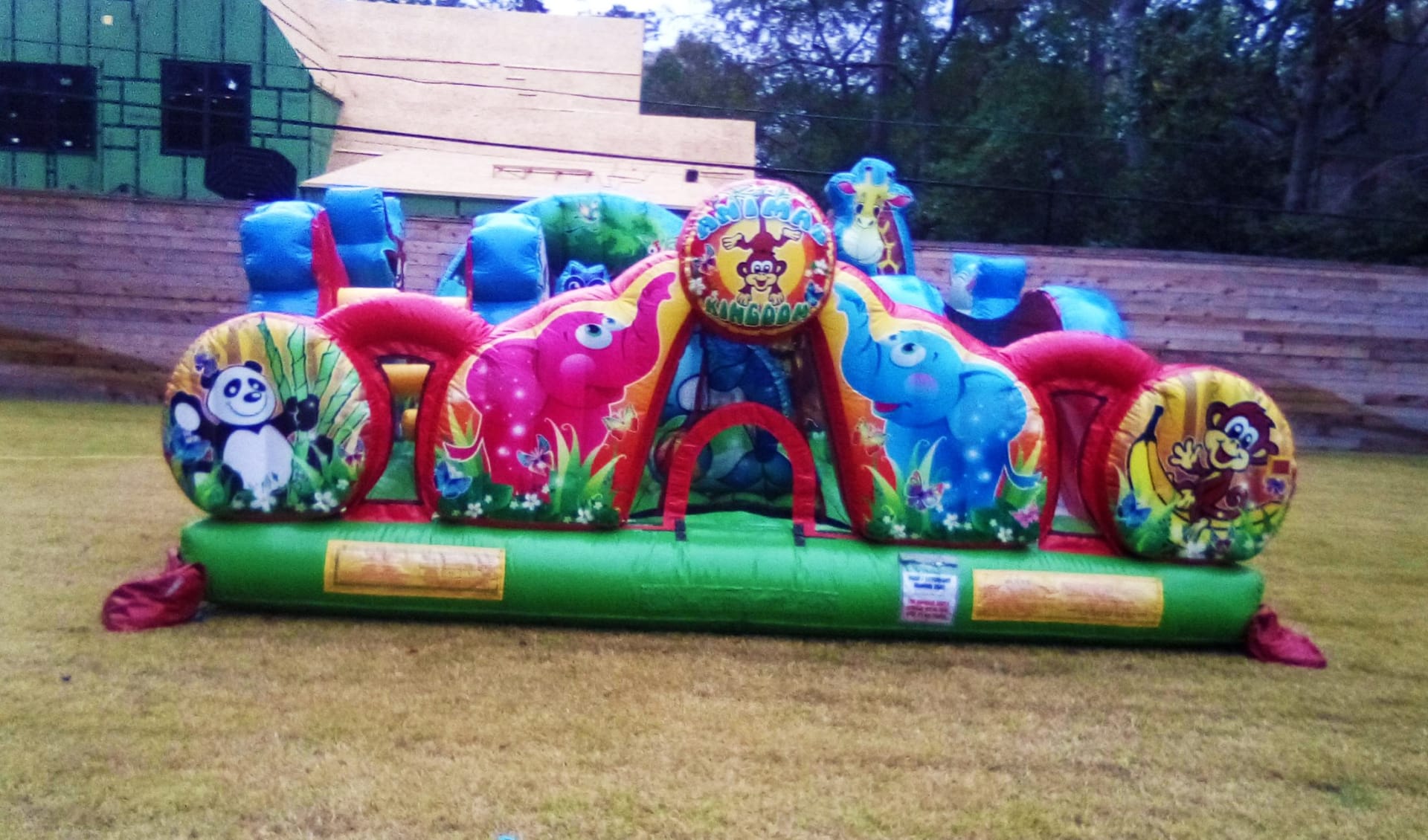 Animal Kingdom Bounce House