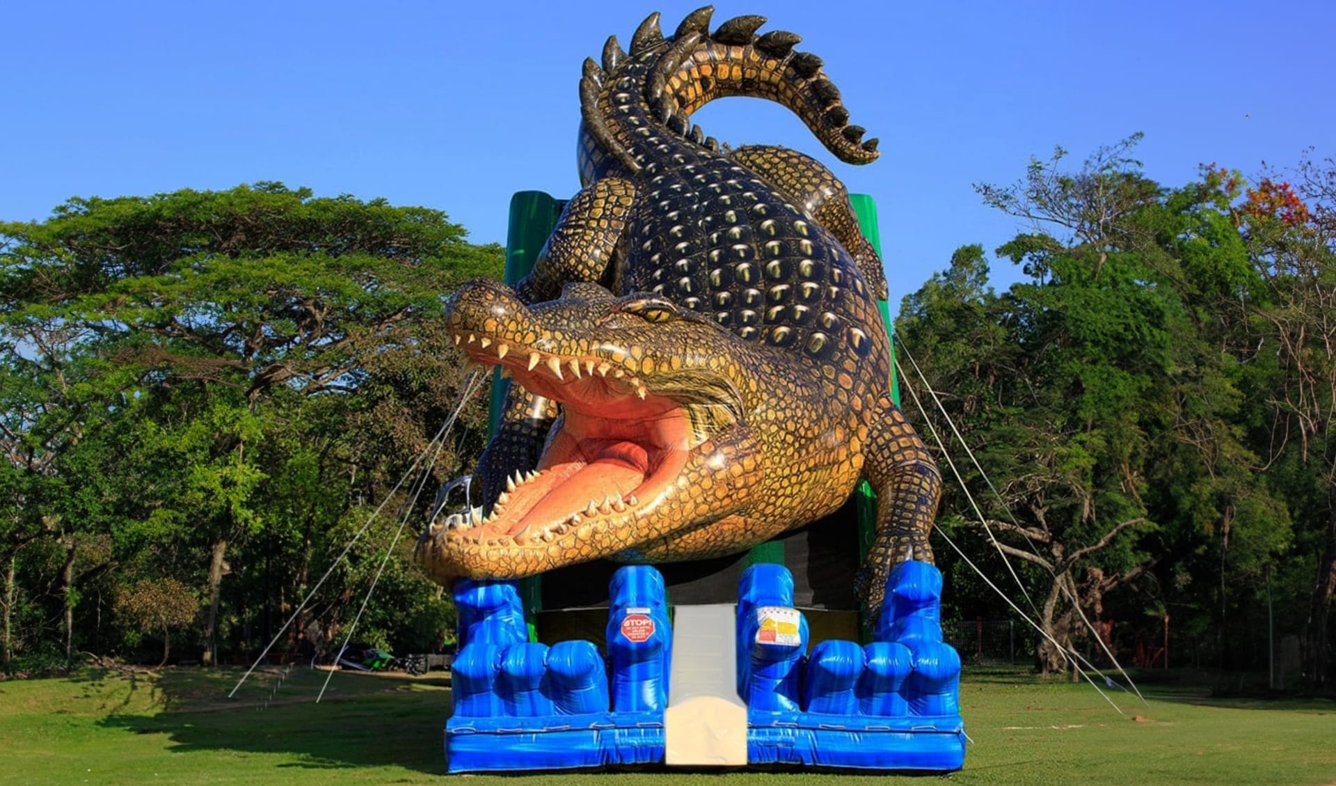Alligator Bounce House Water Slide Rental