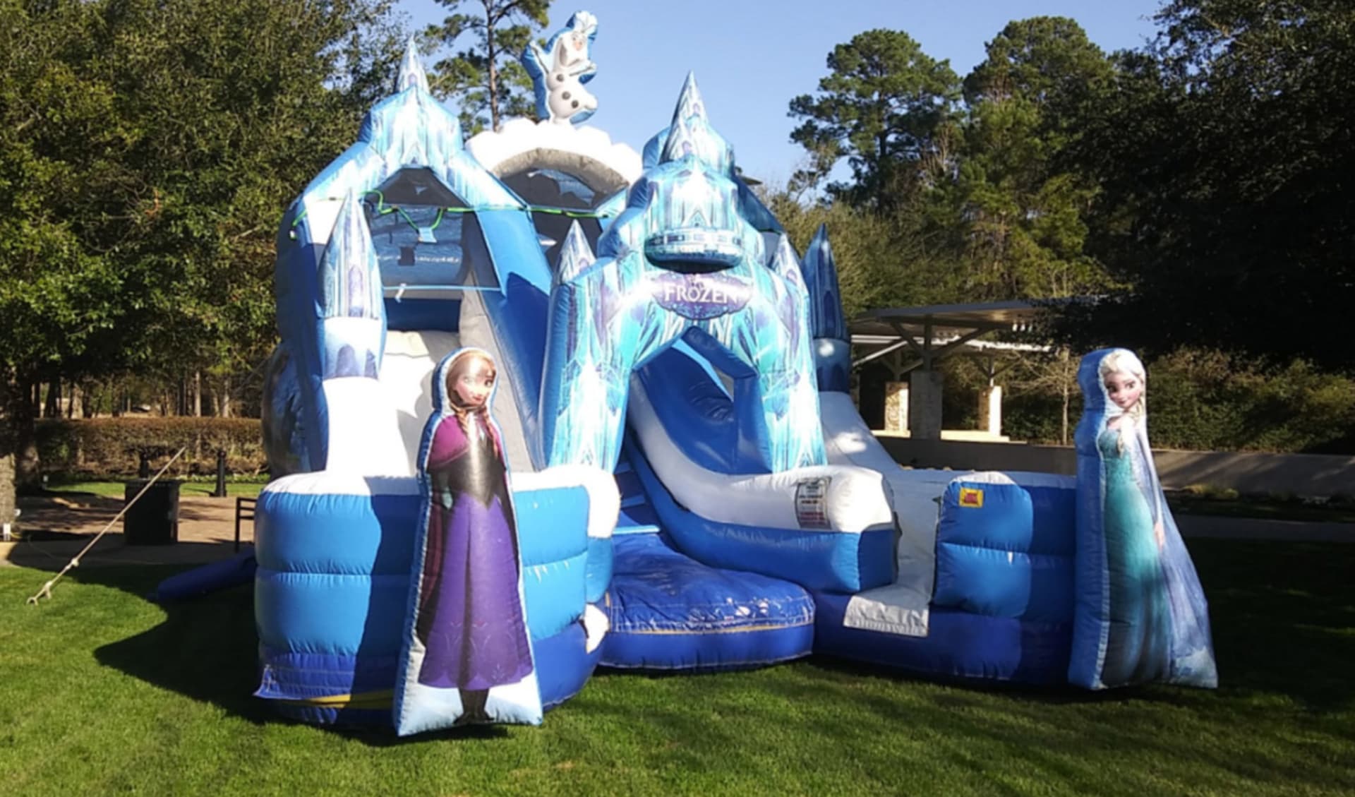 Frozen Double Water Slide