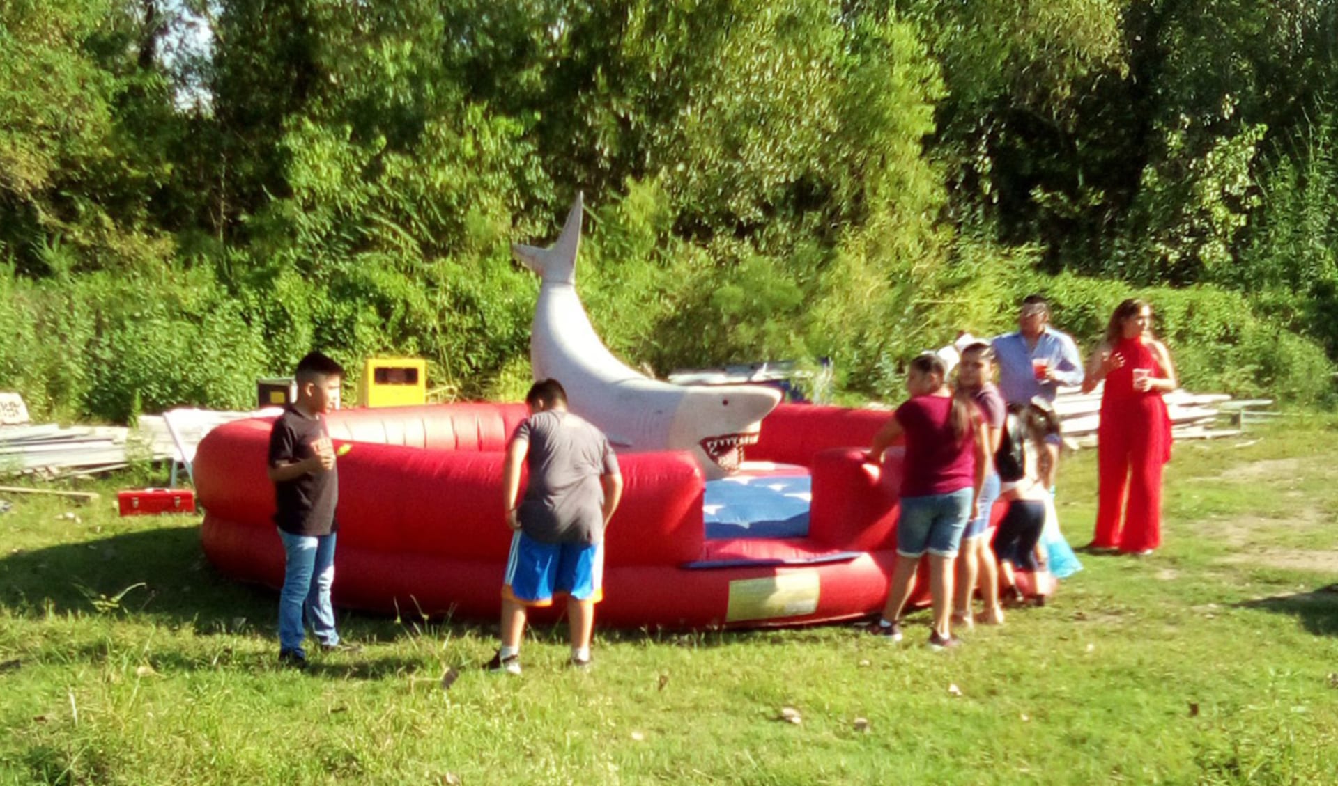 Mechanical Shark Interactive