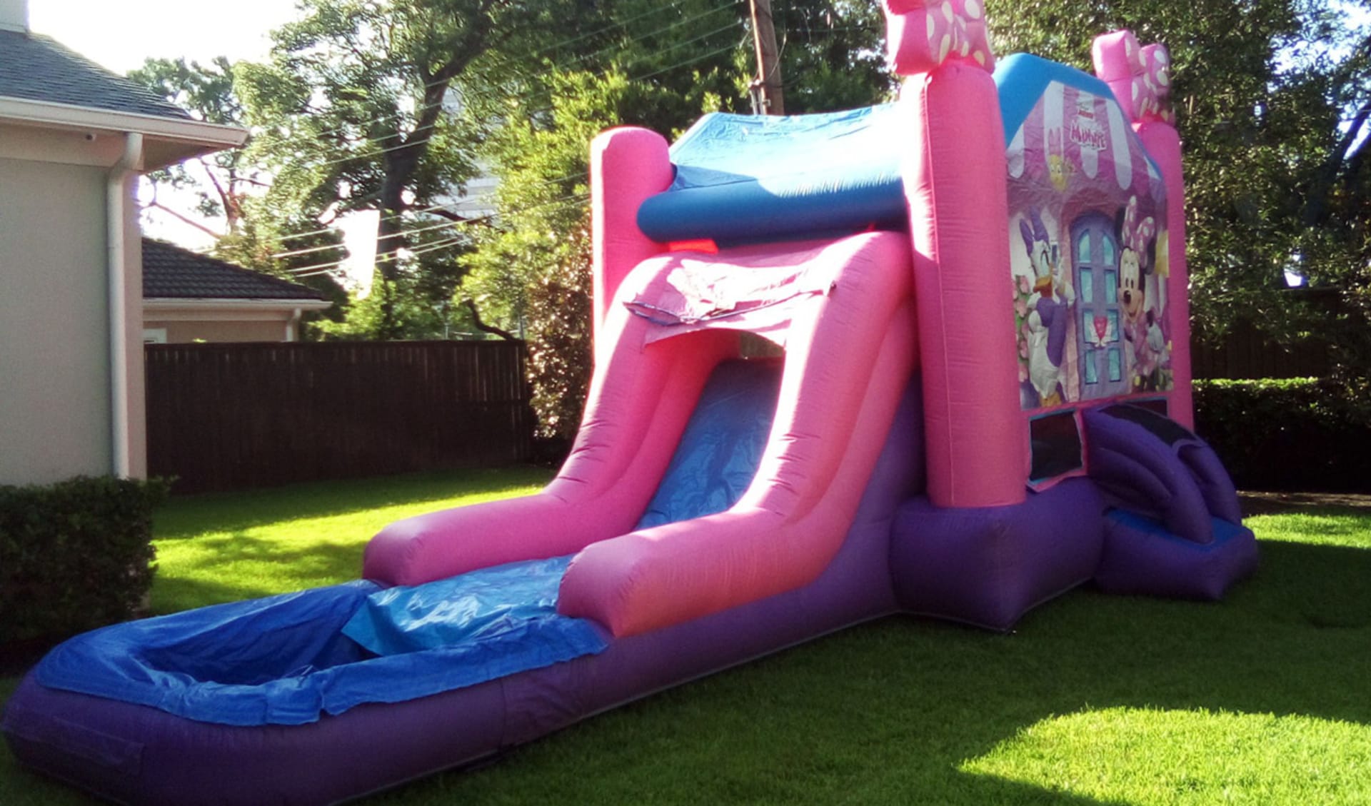 Minnie Mouse Bounce House Dallas Texas