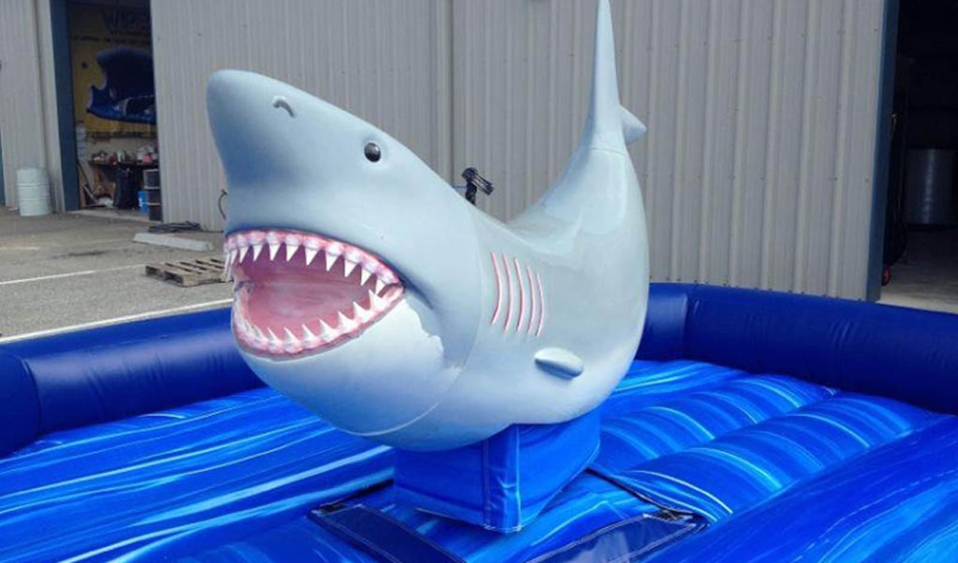 Mechanical Shark