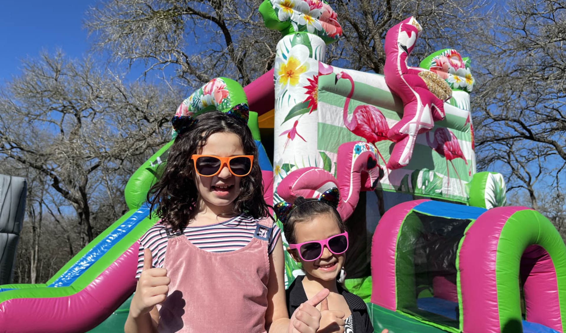 Flamingo Party Themed Rentals