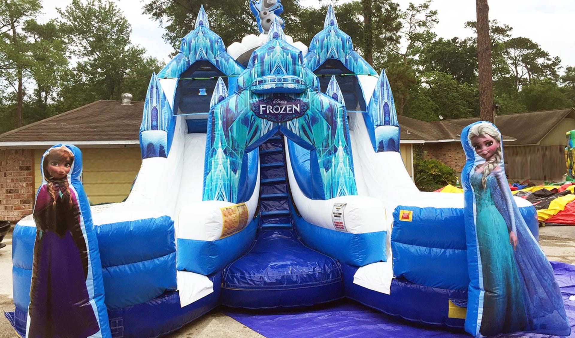 Frozen Double Waterslide
