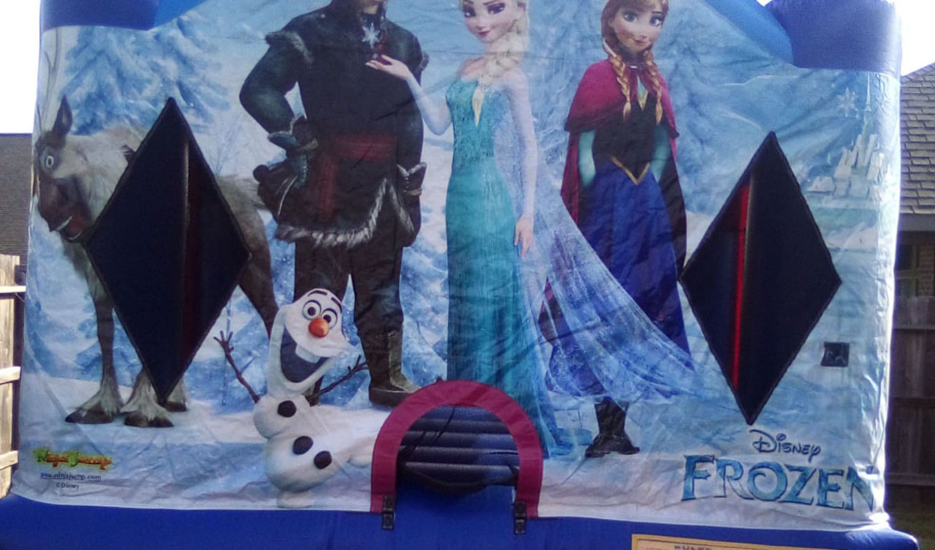 Frozen Moonwalk Rentals