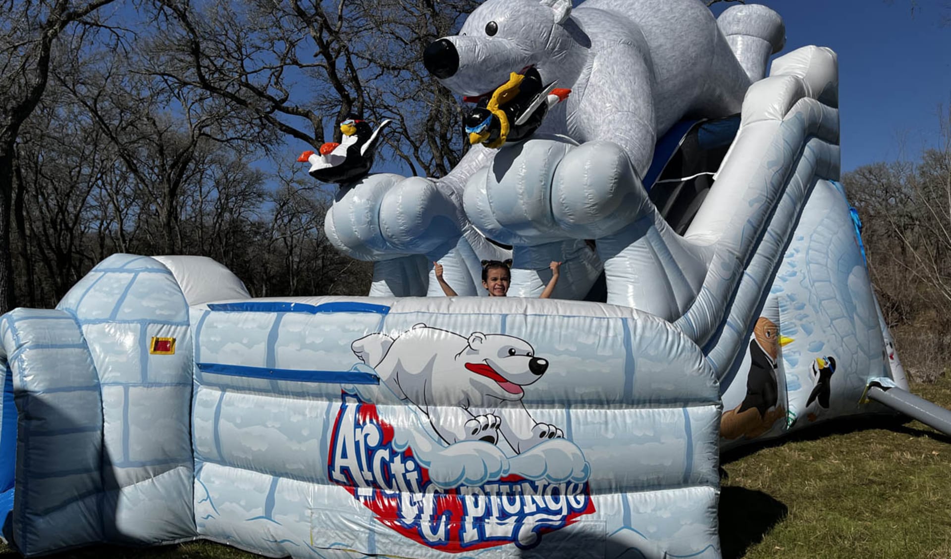 Penguin Dual Lane Dry Slide Rental