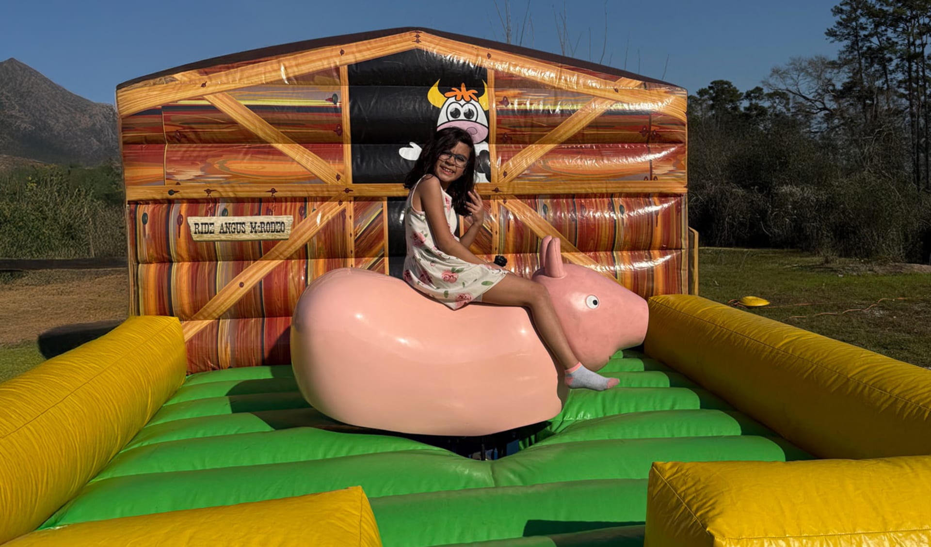 Kids Mechanical Pig