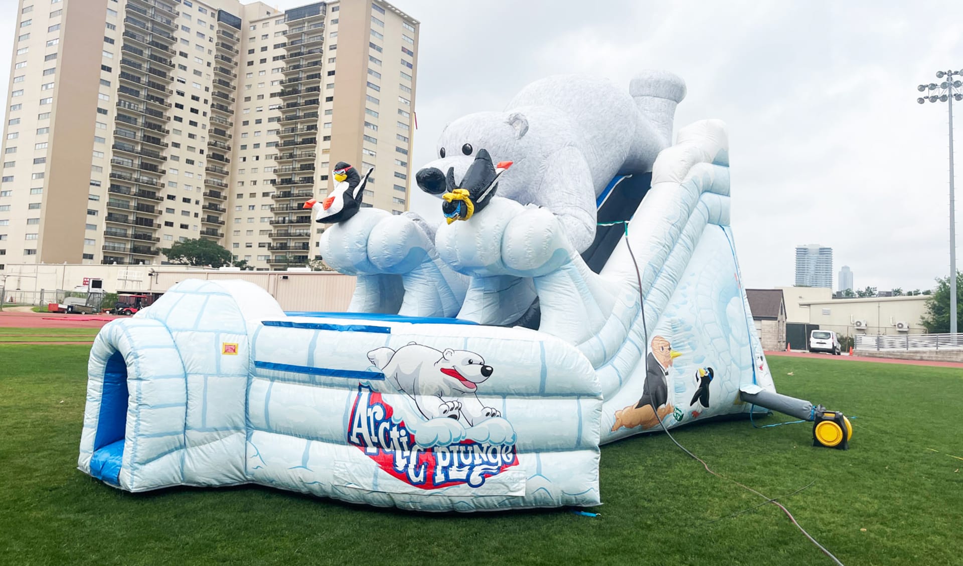 Penguin Dual Lane Dry Slide Rental