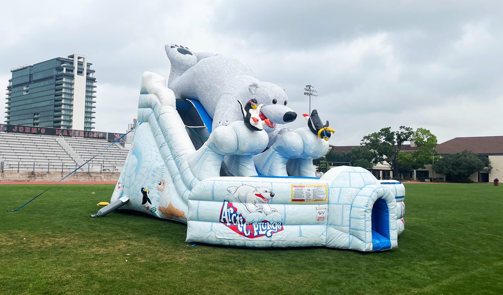 Penguin Polar Bear Dry Slide Rental
