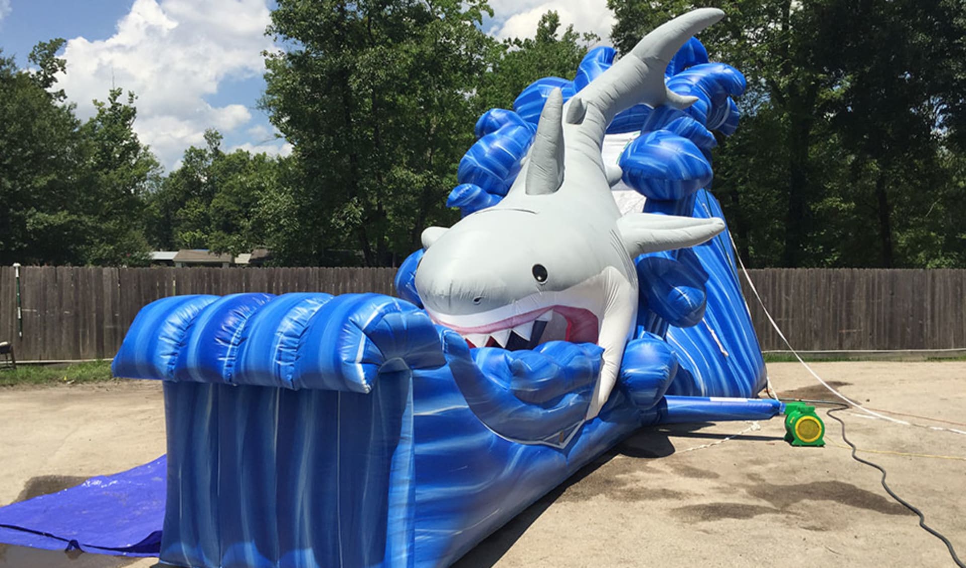 Shark Slide for Rent