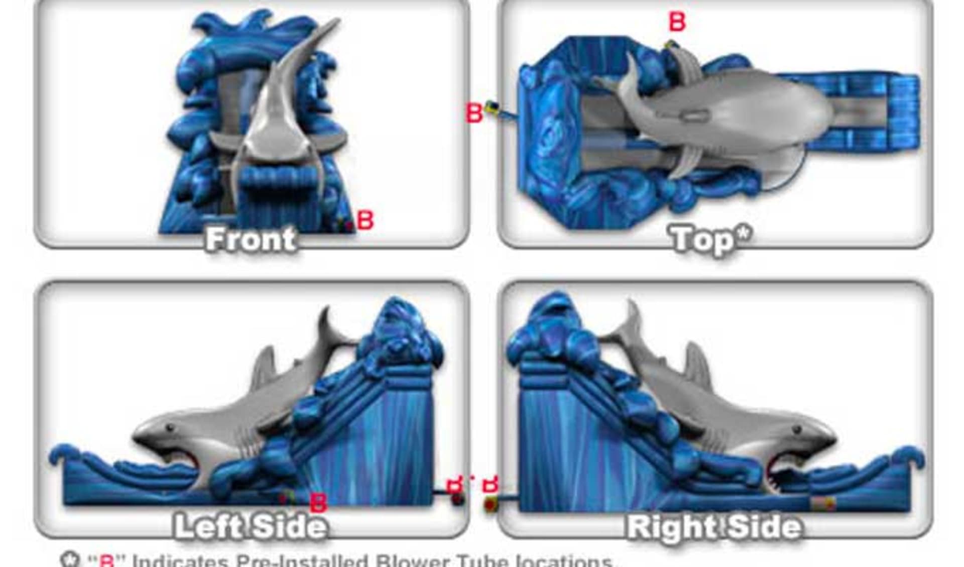 Shark Slide Dimensions