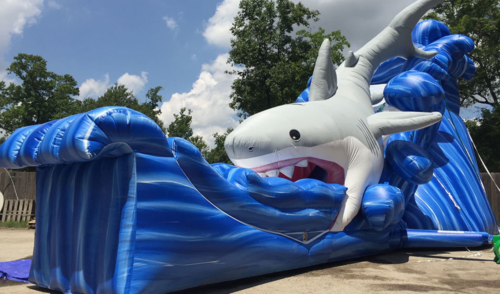 Shark Blue Water Slide Rental