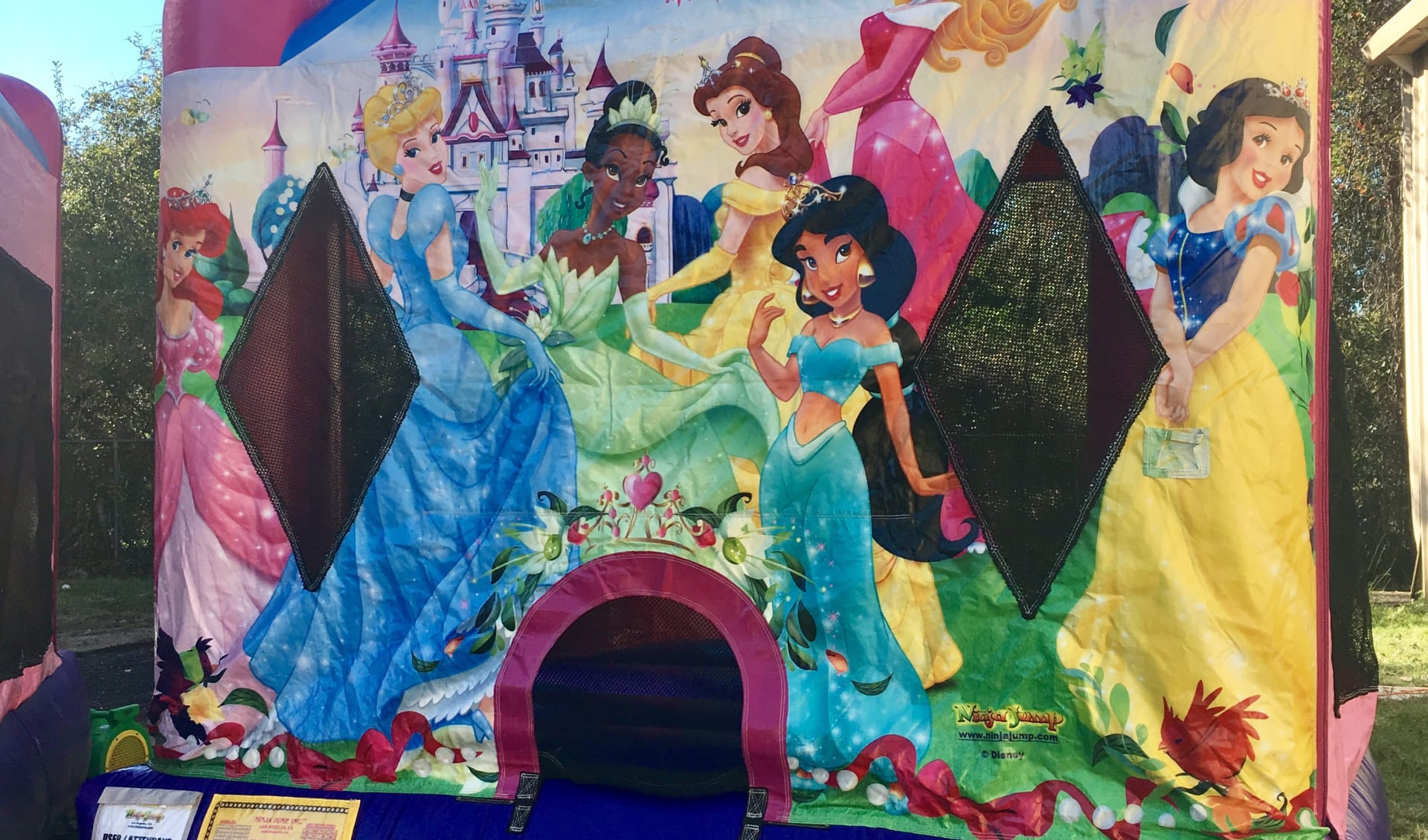 Disney Princess Jump House for small yards